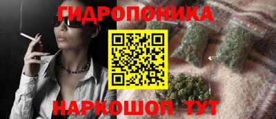 СК Краснодар