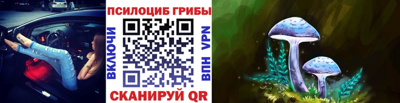 купить  цена  Элиста  Галлюциногенные грибы Magic Shrooms 