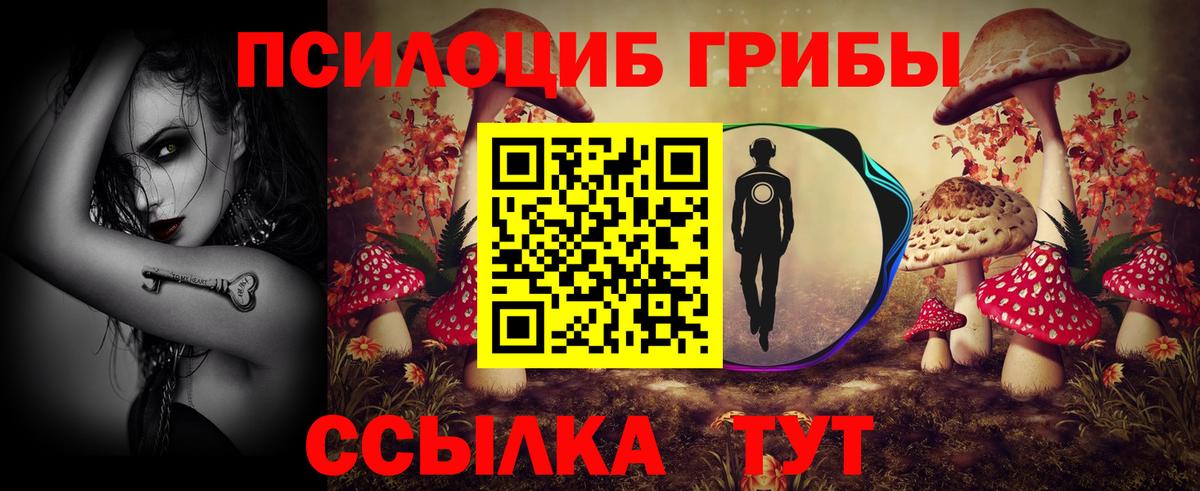 Галлюциногенные грибы Psilocybe  Вход с VPN  Псилоцибиновые грибы Psilocybe  Элиста 